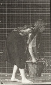 Plate 217 Stooping, lifting and carrying a 30 lb basket — figure reference
